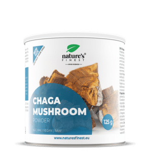 Chaga gljiva u prahu