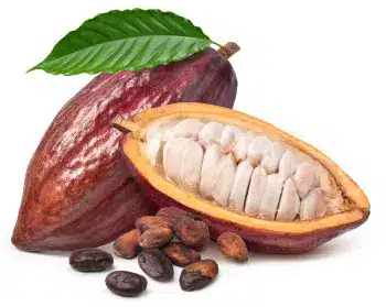 Kakao u prahu