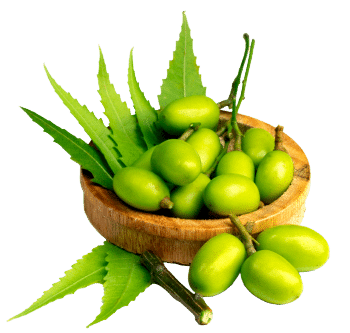 Neem nerafinirano ulje