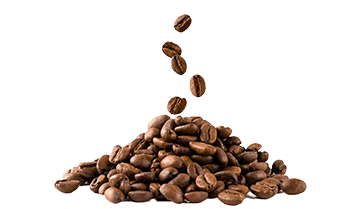 Instant kava (Coffea arabica L.)