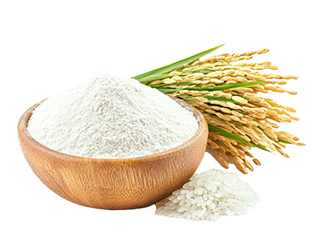 Rižino brašno (Oryza sativa)